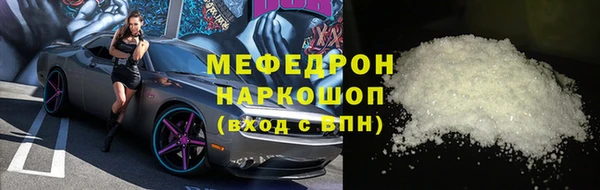 хмурый Аркадак