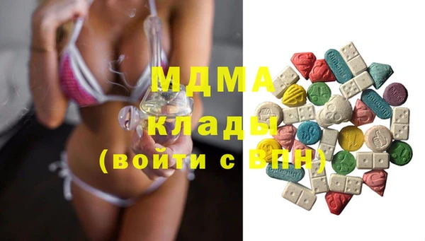 хмурый Аркадак