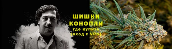хмурый Аркадак