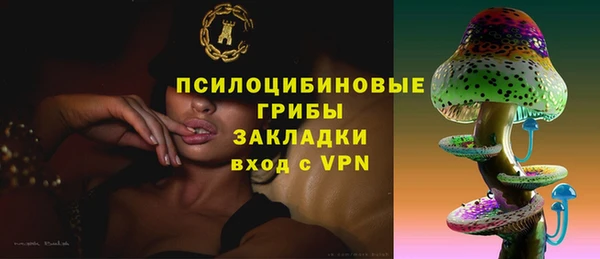 хмурый Аркадак