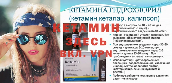 хмурый Аркадак
