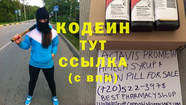 хмурый Аркадак