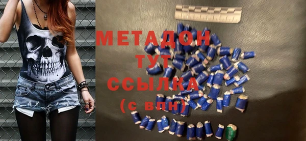 хмурый Аркадак