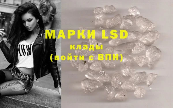 хмурый Аркадак