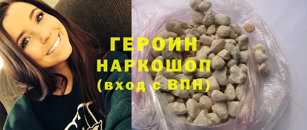 хмурый Аркадак