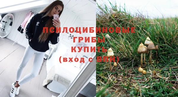 мет Армянск