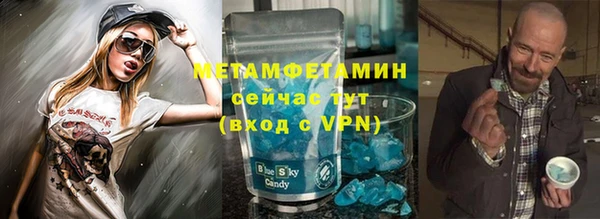 хмурый Аркадак